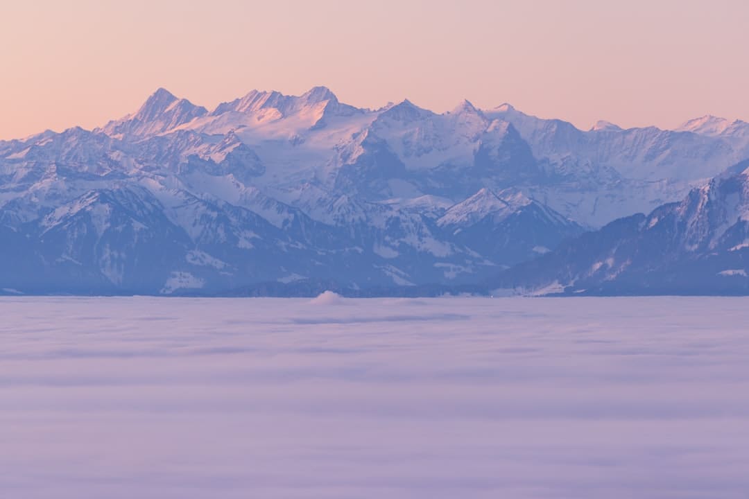 美丽我国丨呼伦贝尔大草原秋景如画